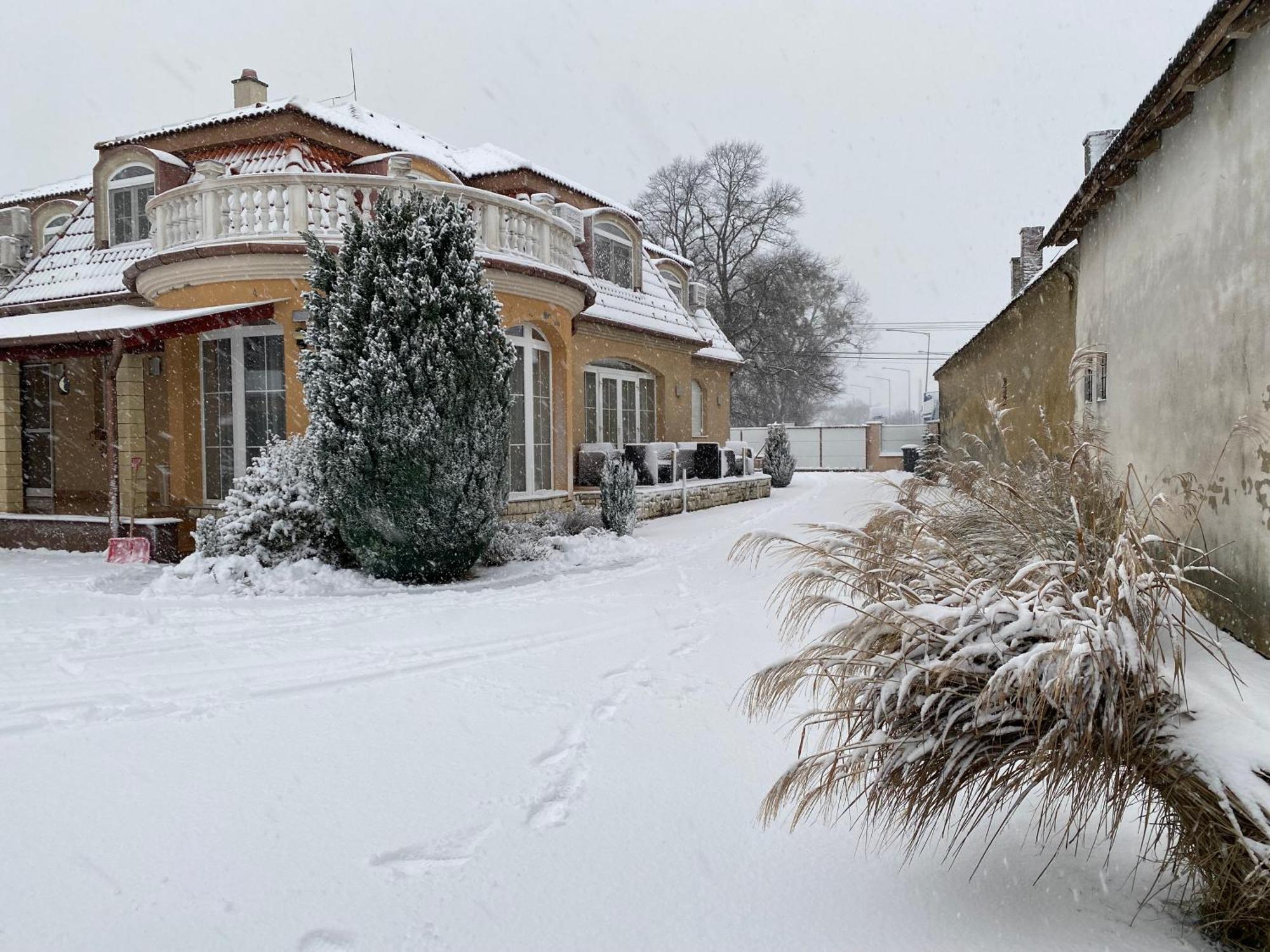 Ambrozia Guesthouse ナジカニジャ エクステリア 写真